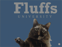 Tablet Screenshot of fluffsuniversity.com